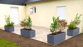 Carrelage